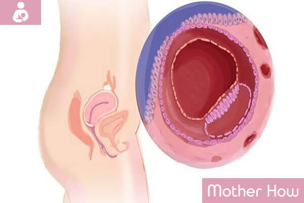 MotherHow-3-weeks-pregnant
