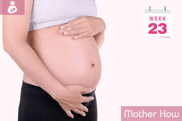 23-weeks-pregnant-women