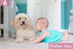 Baby-Playing-with-dog