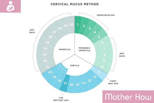 Cervical-Method